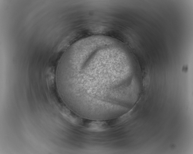 X0000113590179200910021726