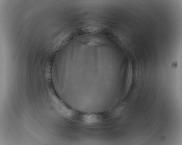 X0000113590181200910021726