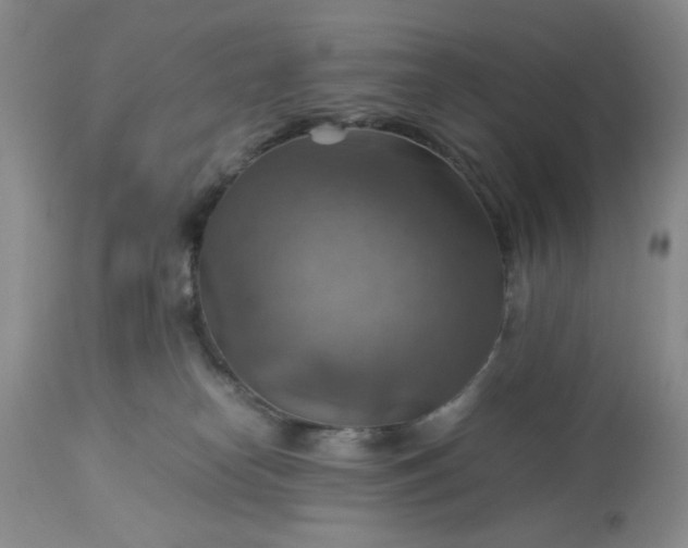 X0000113590182200910021726