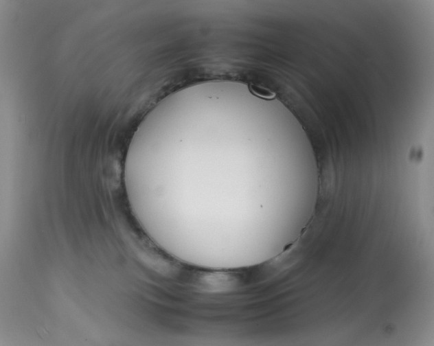 X0000113590183200910021726