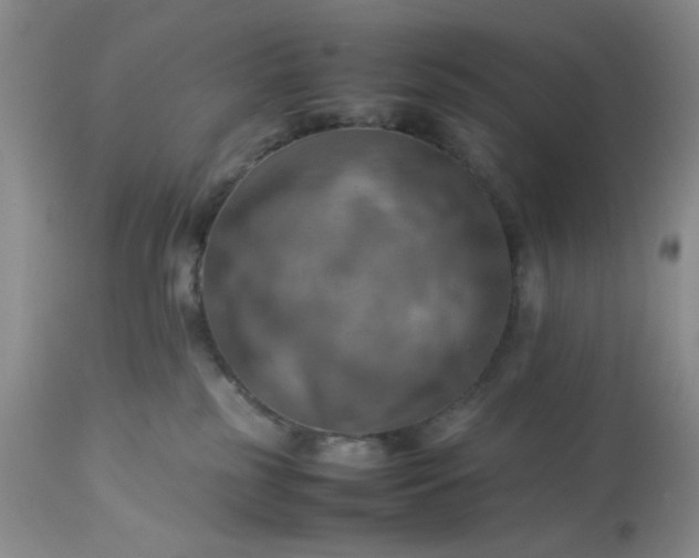 X0000113590185200910021726