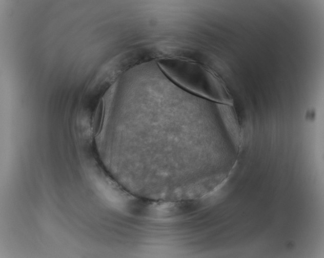 X0000113590186200910021726