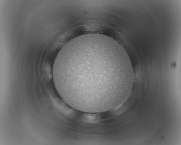 X0000113590187200910021726