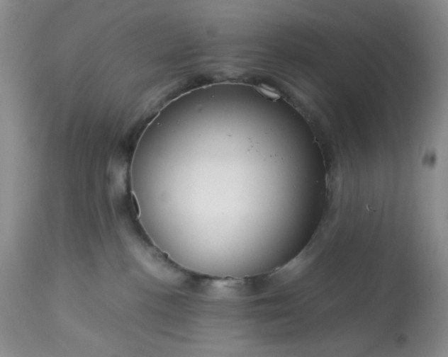 X0000113590188200910021726