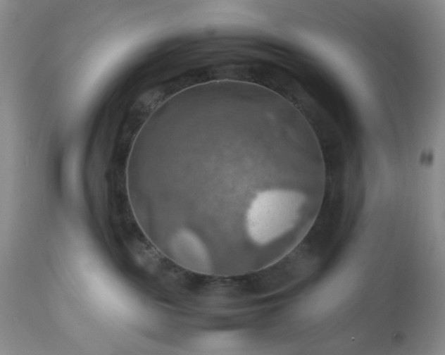 X0000113590189200910021726