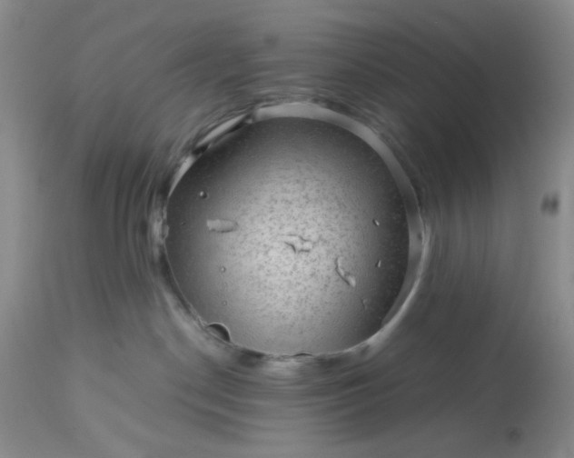 X0000113590190200910021726