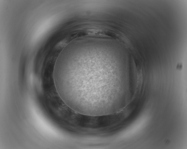 X0000113590191200910021726