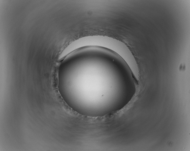 X0000113590192200910021726