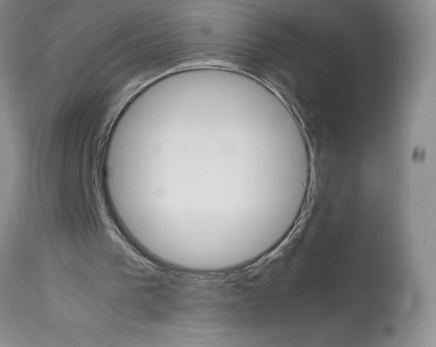 X0000113590193200910021725