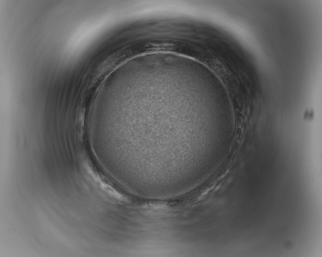 X0000113590194200910021725