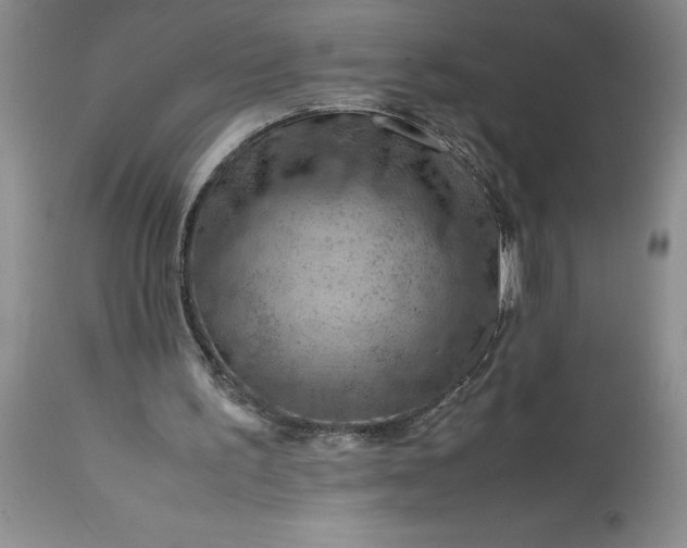 X0000113590195200910021725