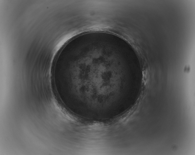 X0000113590196200910021725