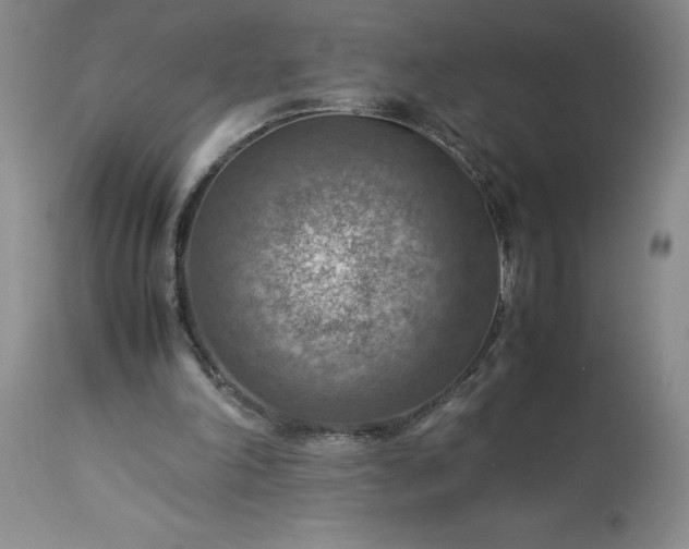 X0000113590198200910021725