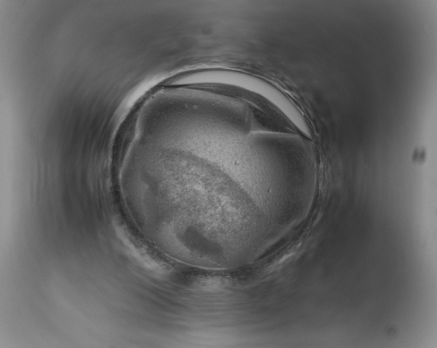 X0000113590200200910021725