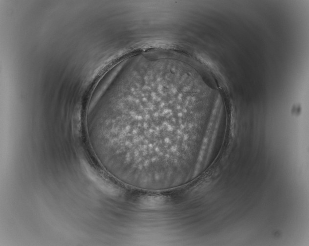 X0000113590202200910021725