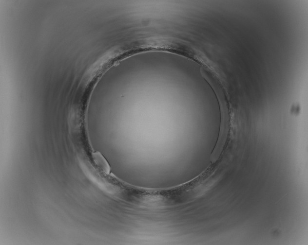 X0000113590203200910021725