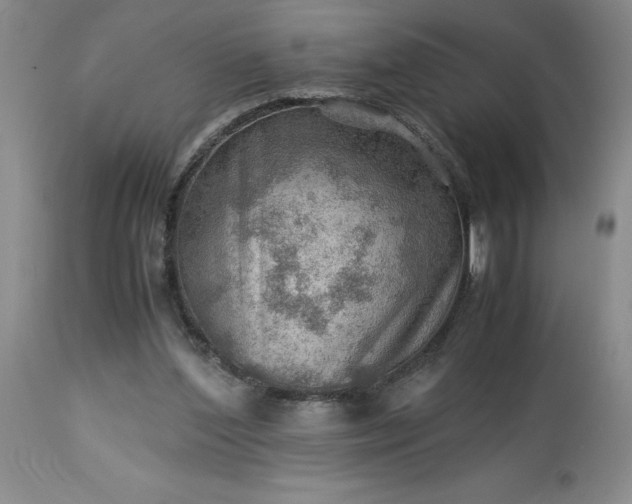 X0000113590204200910021725