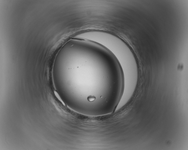 X0000113590205200910021725