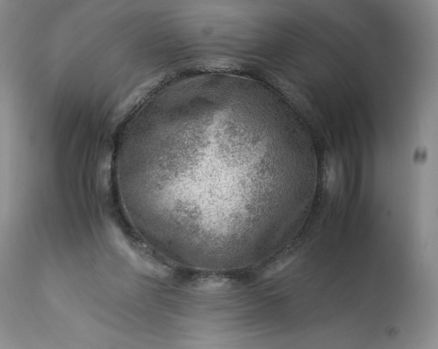 X0000113590206200910021725