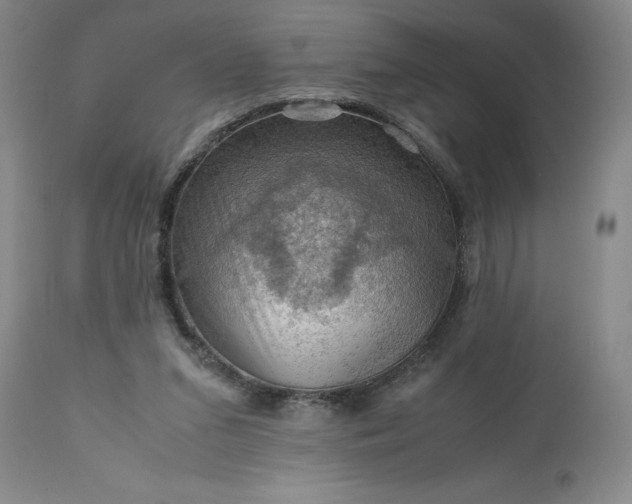 X0000113590207200910021725