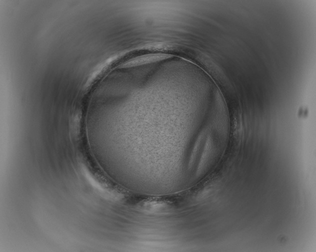 X0000113590208200910021725