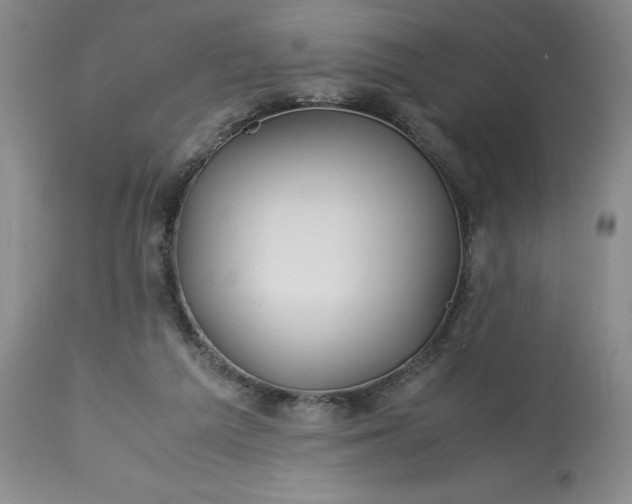 X0000113590209200910021725