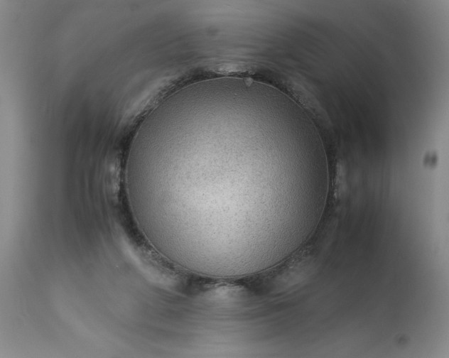 X0000113590210200910021725