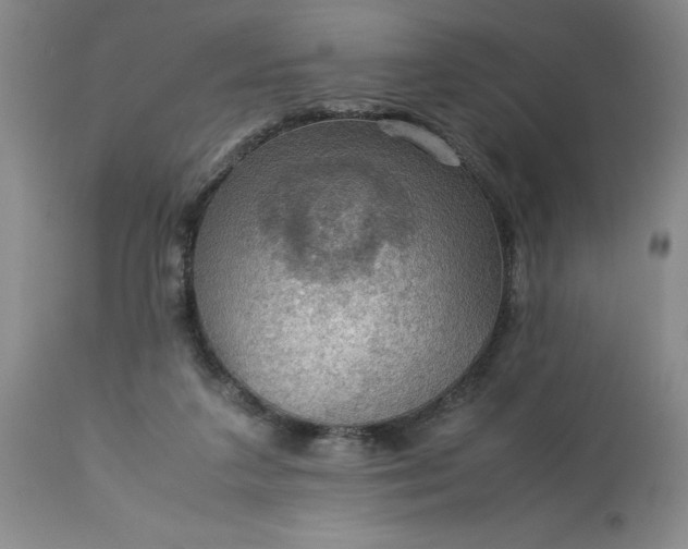 X0000113590211200910021725