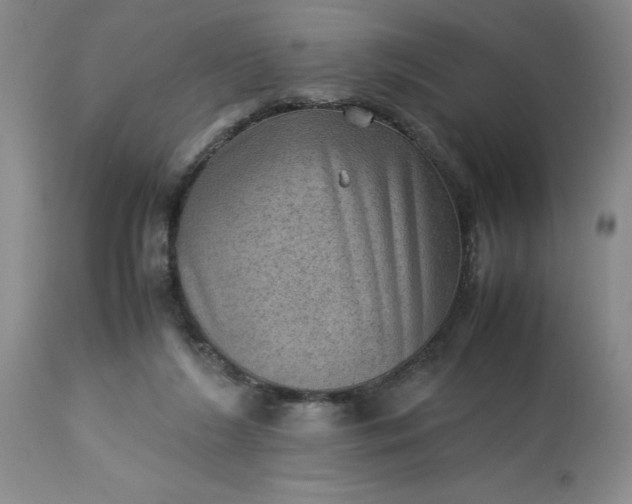 X0000113590212200910021725