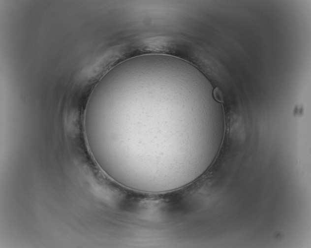 X0000113590213200910021725