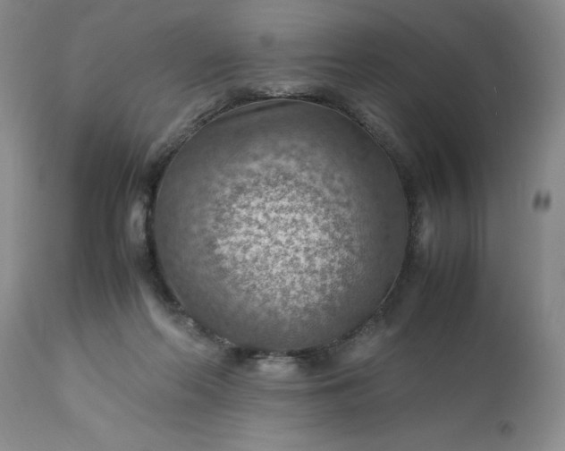 X0000113590214200910021725