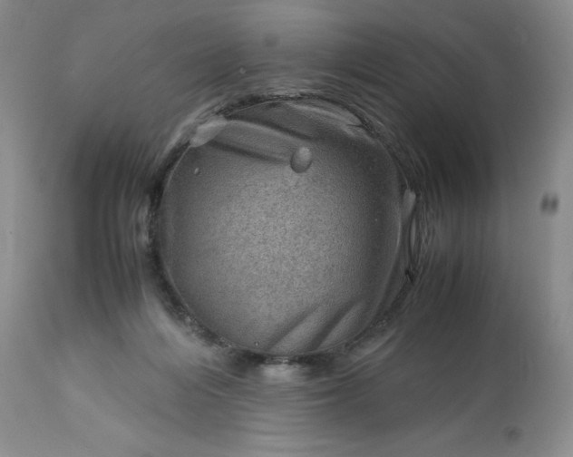 X0000113590216200910021725