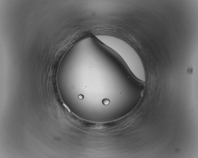 X0000113590217200910021725