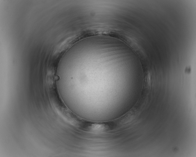 X0000113590218200910021725