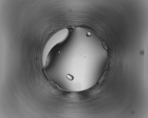 X0000113590219200910021725