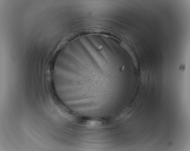 X0000113590220200910021725