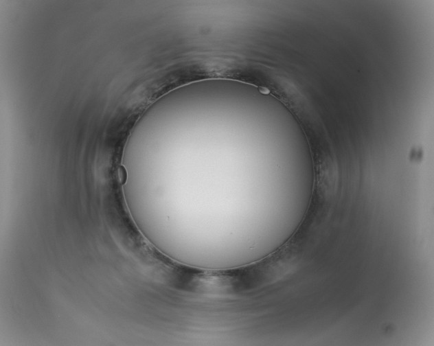 X0000113590221200910021725