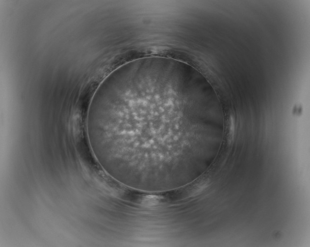 X0000113590222200910021725