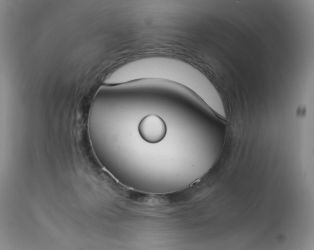 X0000113590223200910021725