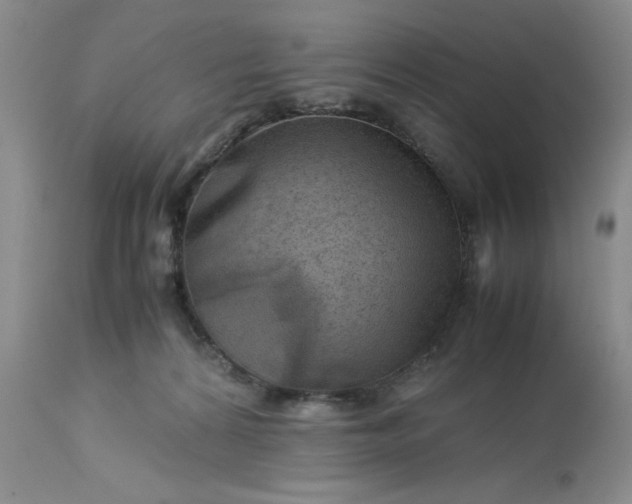 X0000113590224200910021725