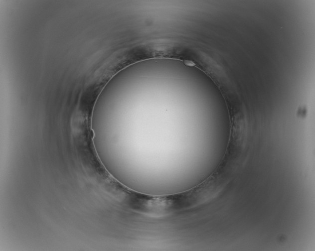 X0000113590225200910021725