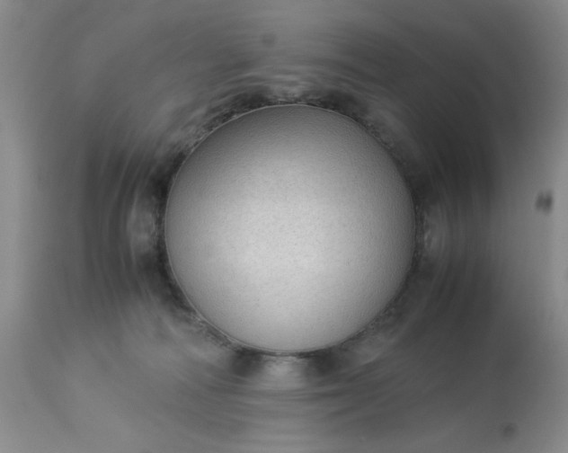 X0000113590226200910021725