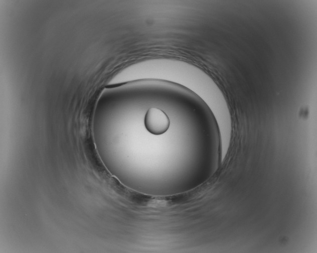 X0000113590227200910021725