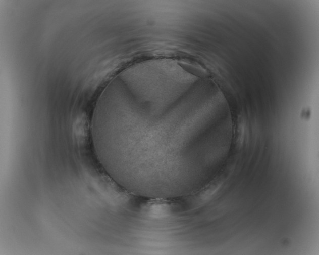 X0000113590228200910021725