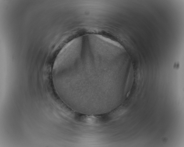 X0000113590229200910021725