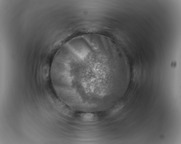 X0000113590230200910021725