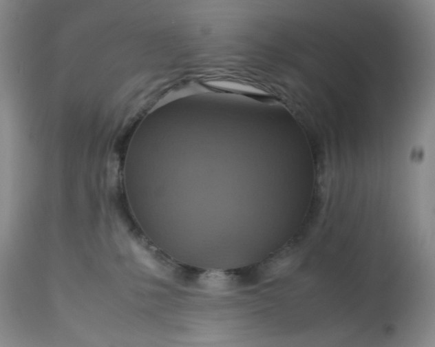 X0000113590231200910021725