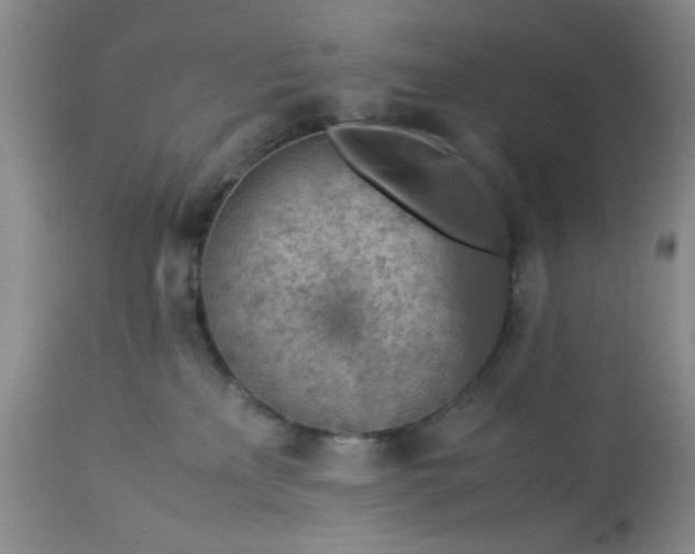 X0000113590233200910021725