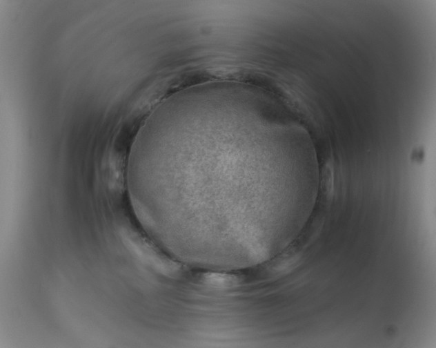 X0000113590234200910021725