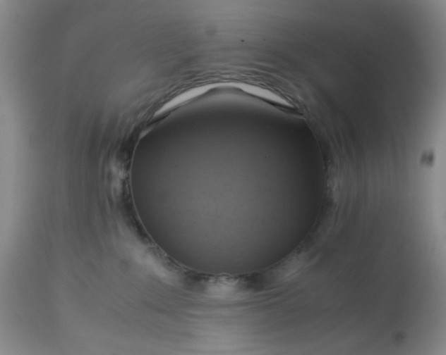 X0000113590235200910021725